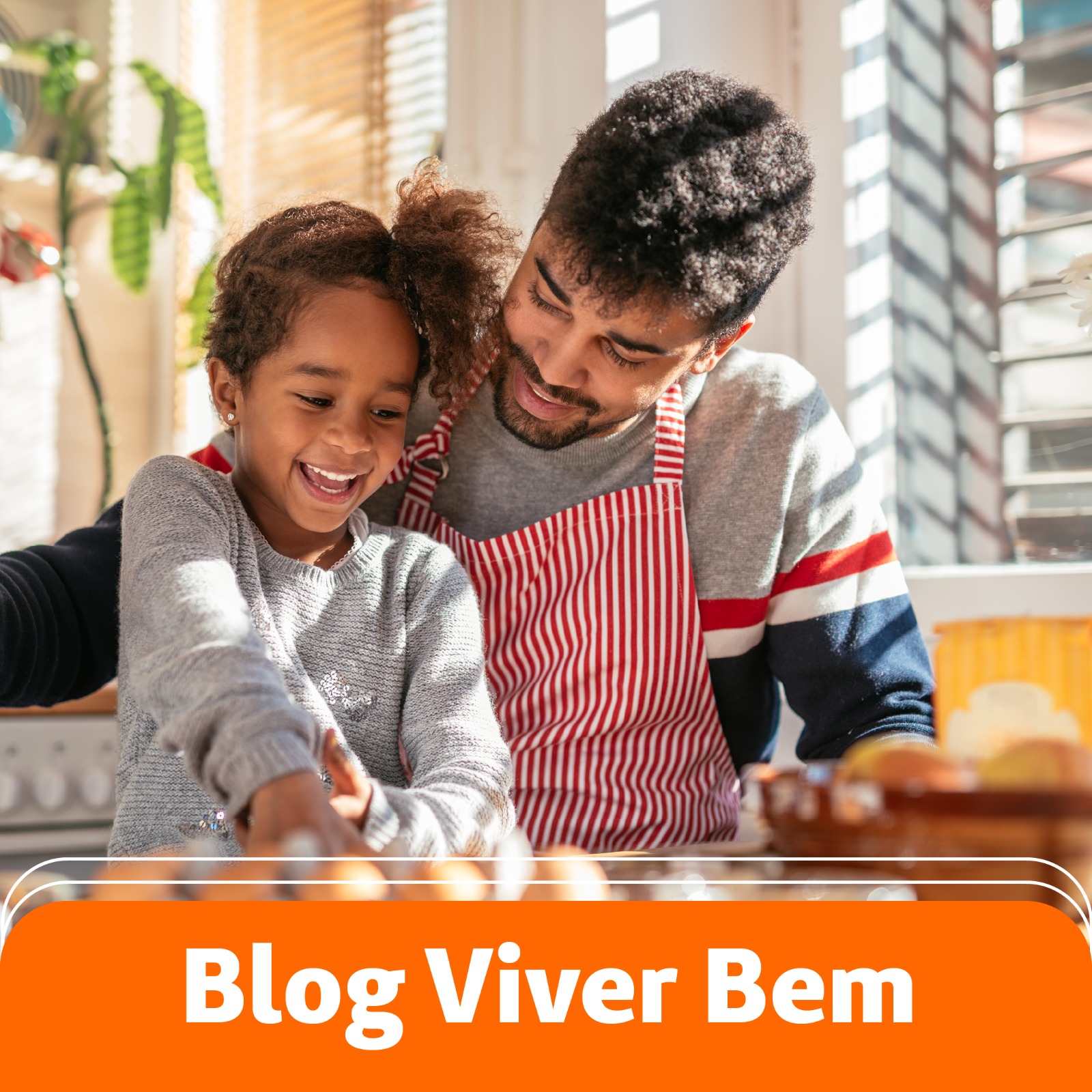 Blog Viver Bem